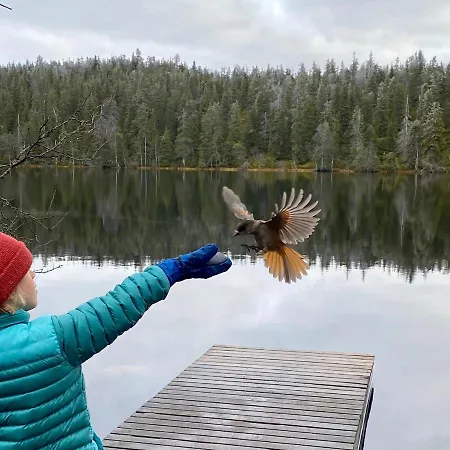 Semesterbostad Little Bear - Pikkukarhu, Slopes 500m, Ski Tracks 100m, Lake 160m Ruka