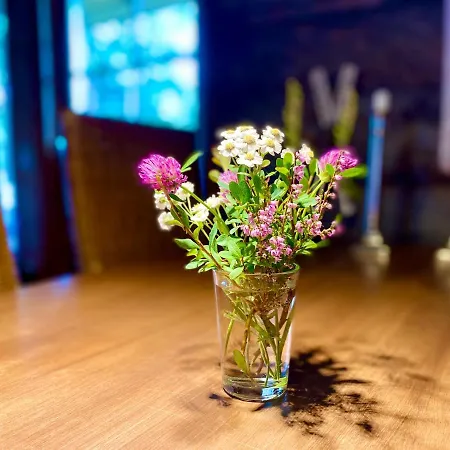 Little Bear - Pikkukarhu, Slopes 500m, Ski Tracks 100m, Lake 160m Holiday home