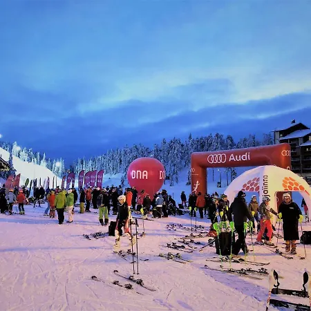 Little Bear - Pikkukarhu, Slopes 500m, Ski Tracks 100m, Lake 160m Vakantiehuis Ruka